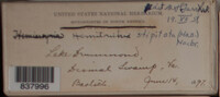 Image Associated With the Occurence